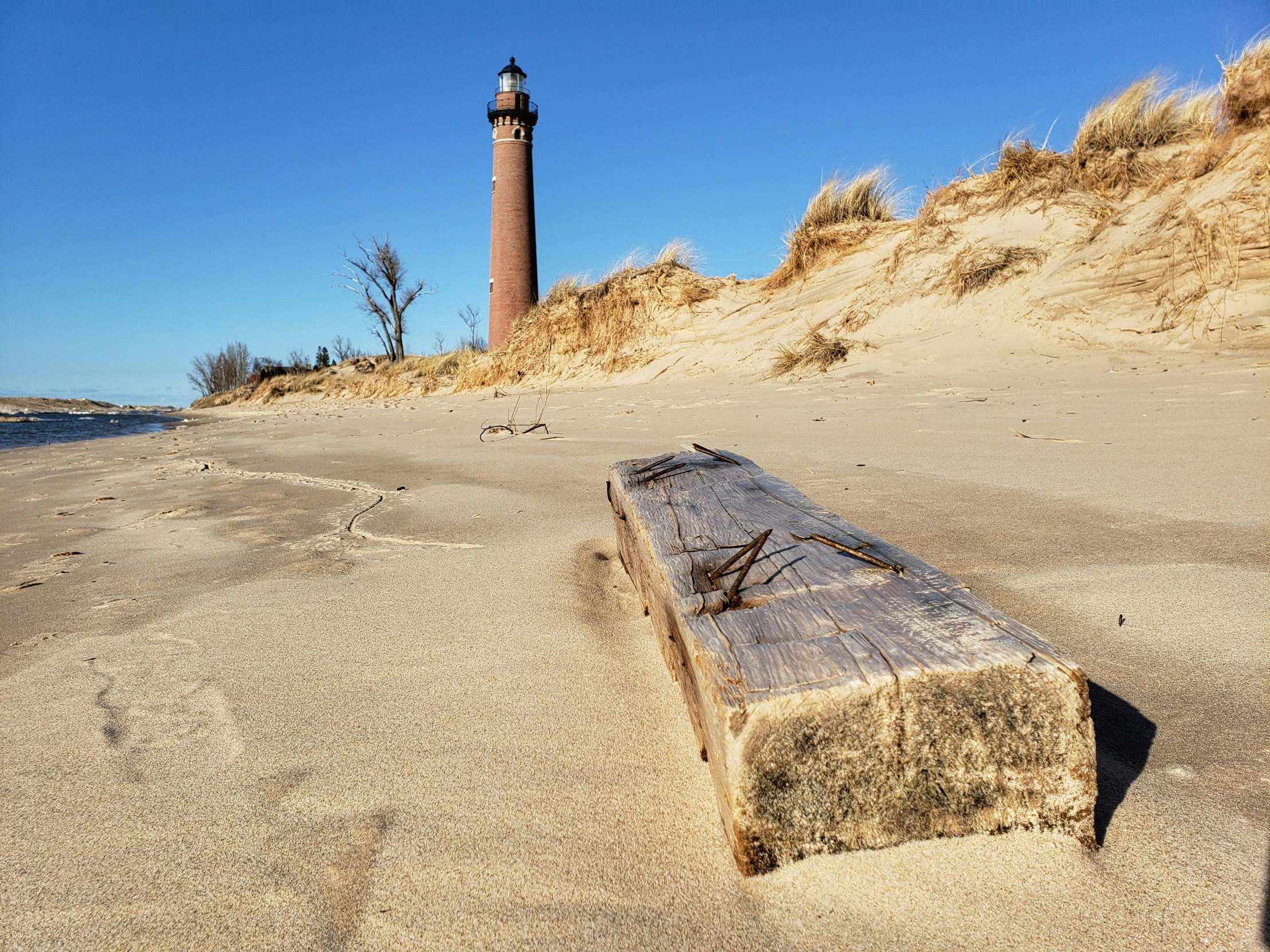 a piece of wood lying on sand with lighthouse in the background