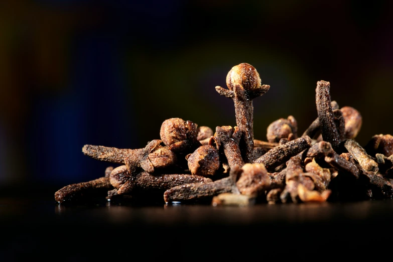 several small brown seeds sitting together in a pile