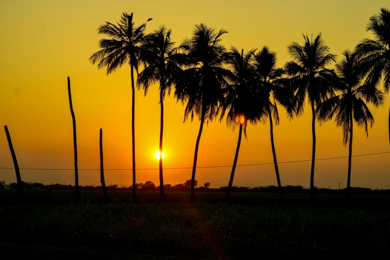 a sunset with trees and people in the background