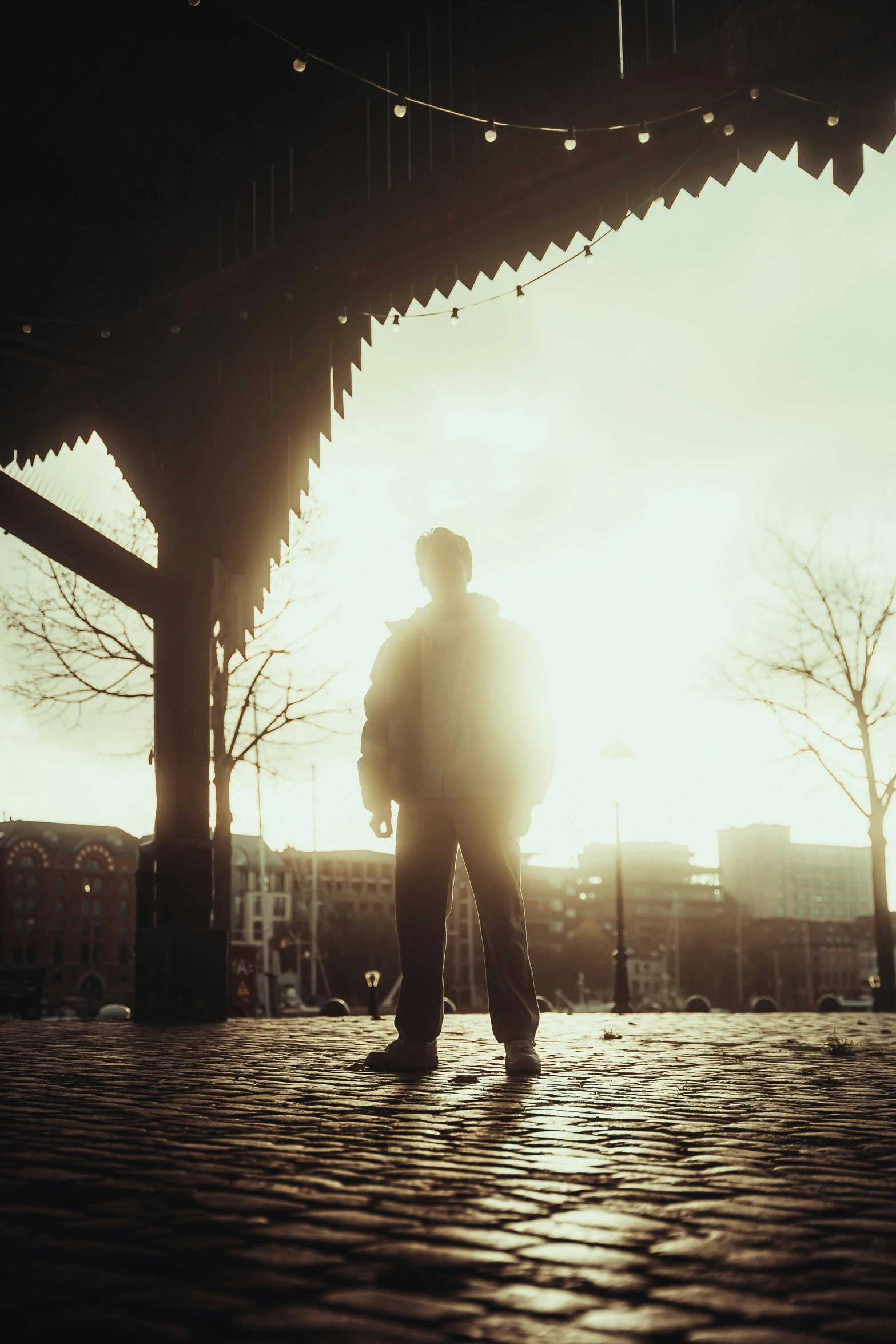 man standing under wooden structure with sun in background