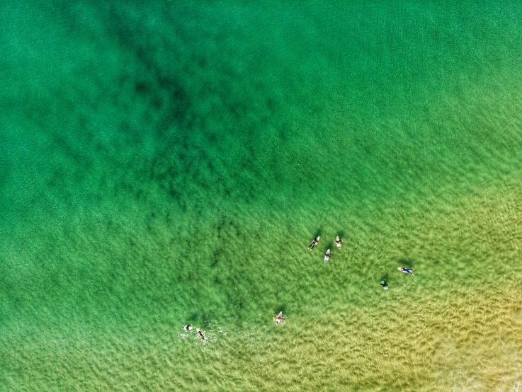 the top view of a beach showing people surfing on the waves