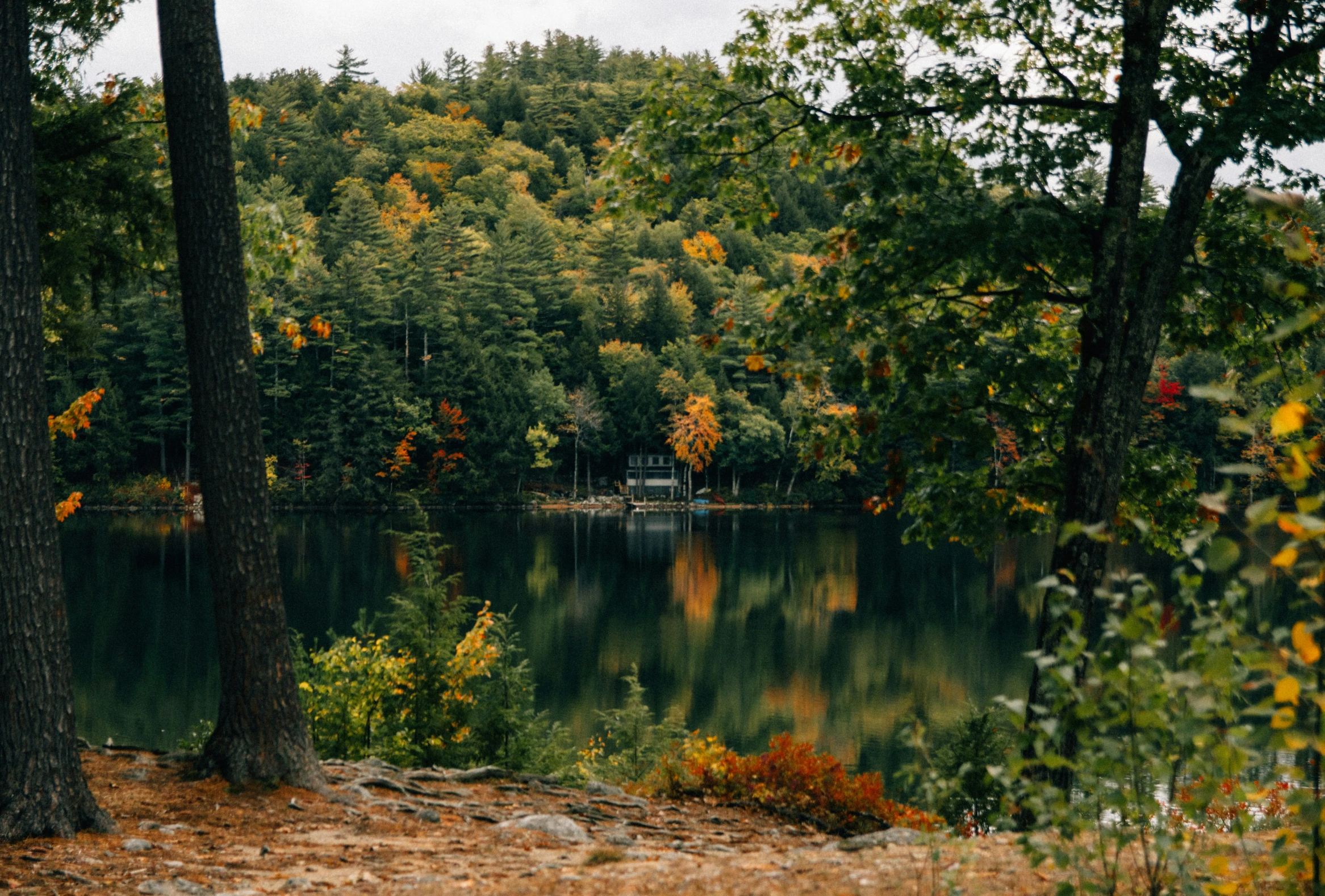 there is a bench near the edge of a lake