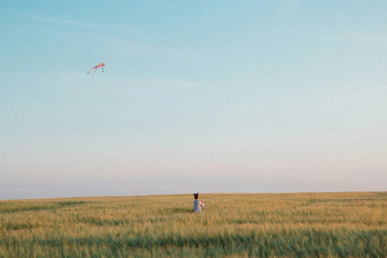 a girl is flying a kite in a field