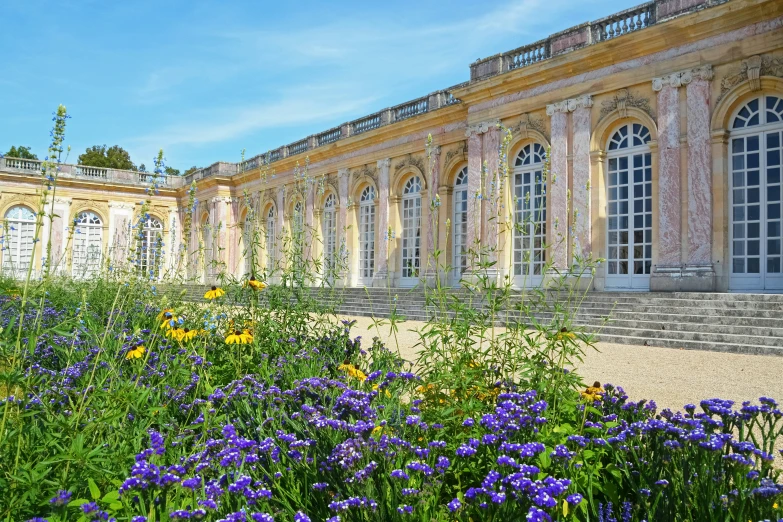 flowers and a building in the background with blue skies