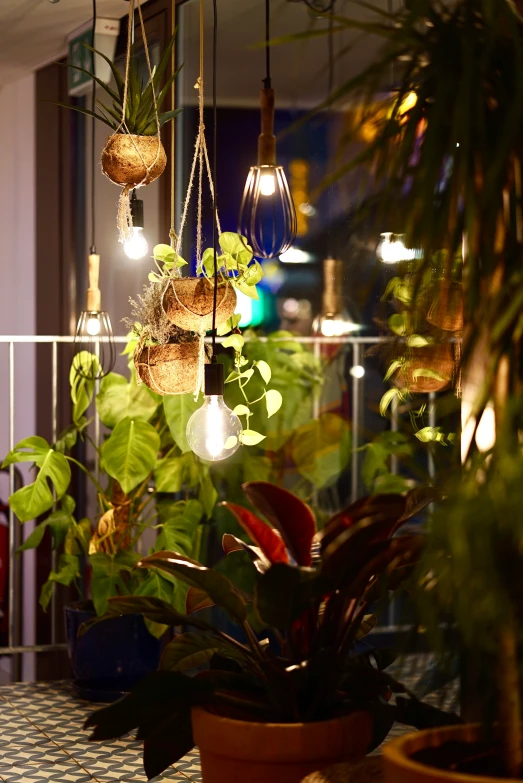 a group of light bulbs are hanging in a planter