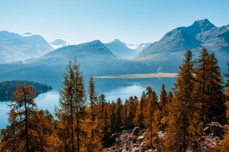 an area of trees and water with mountains in the background