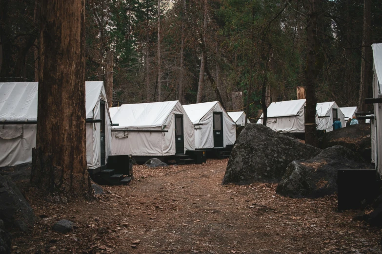 a forest with some tents and rocks near trees