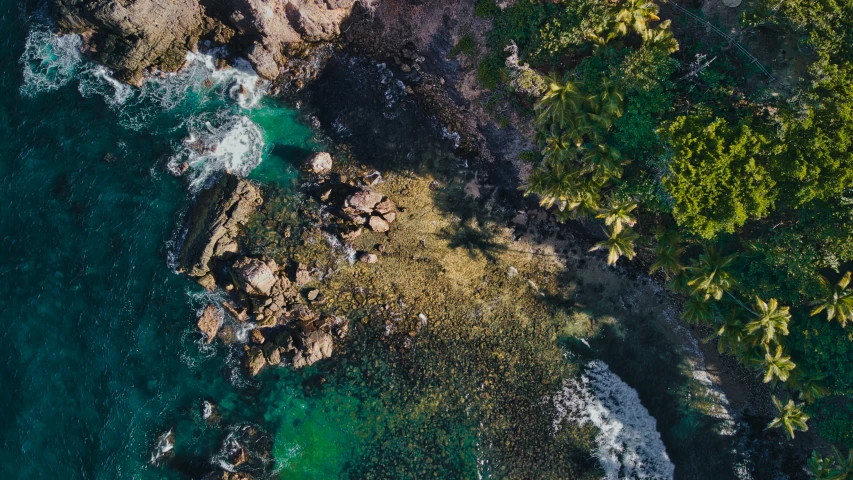 an aerial view of a lush green sea and land line