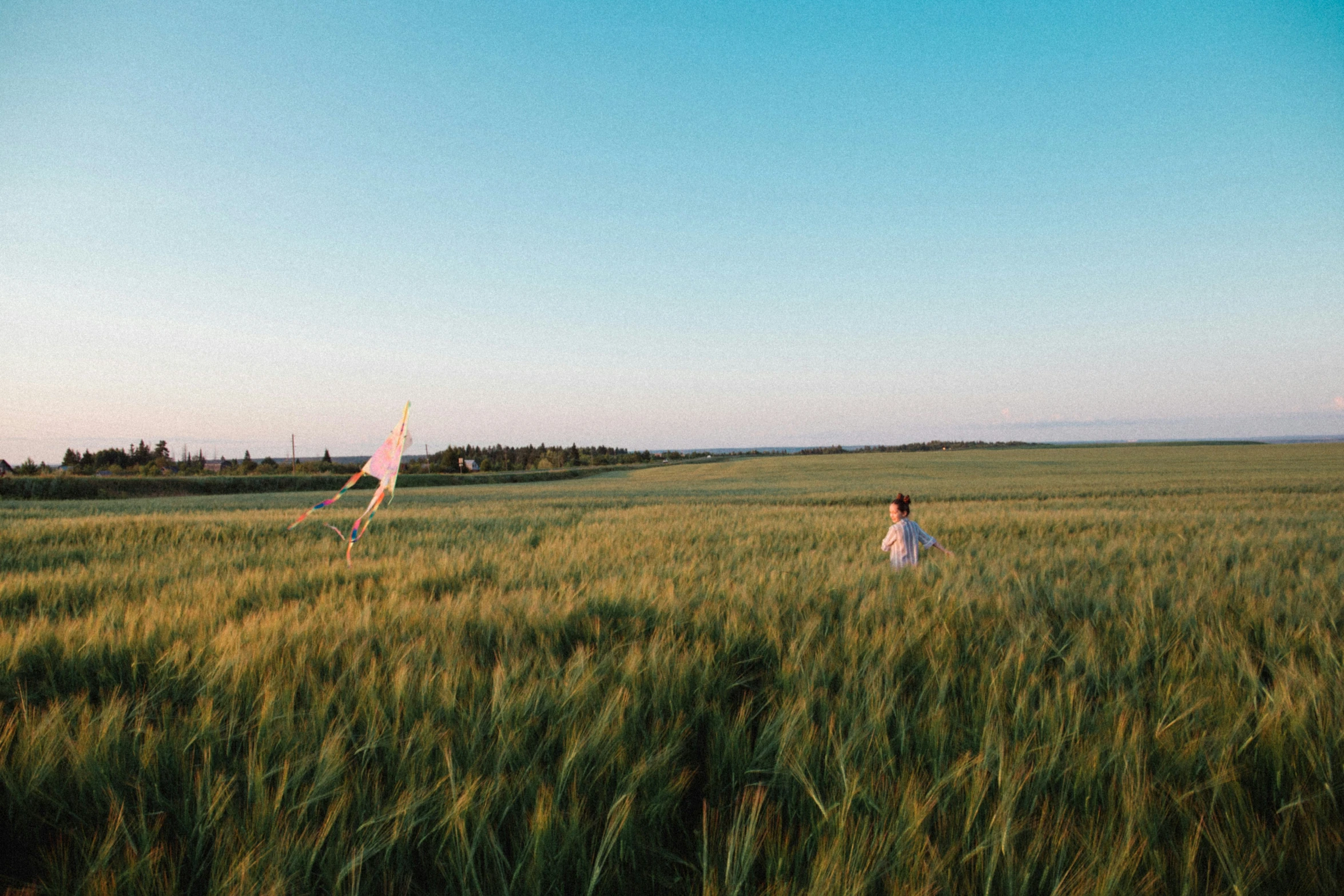 two people in a large field looking at soing