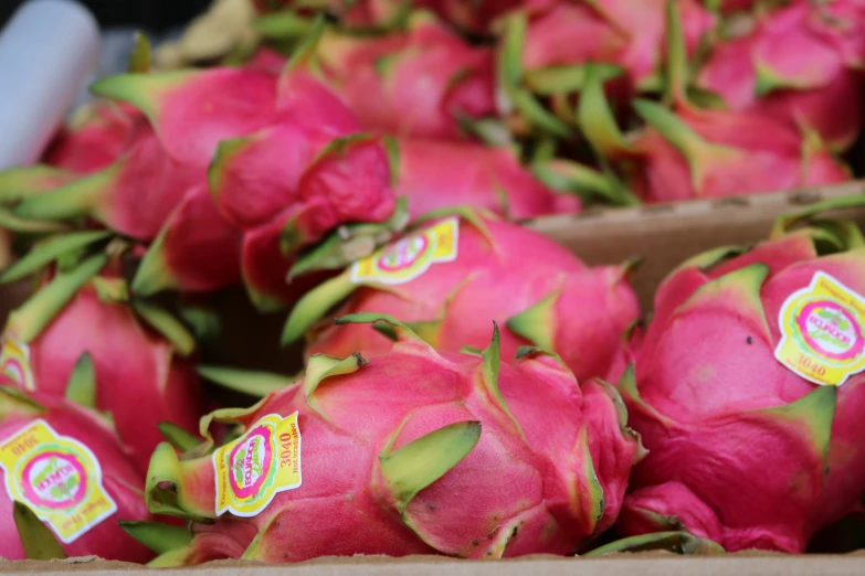 a box with pieces of dragon fruit inside of it