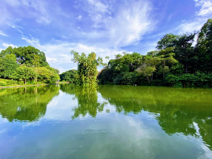 a lake in the middle of some trees