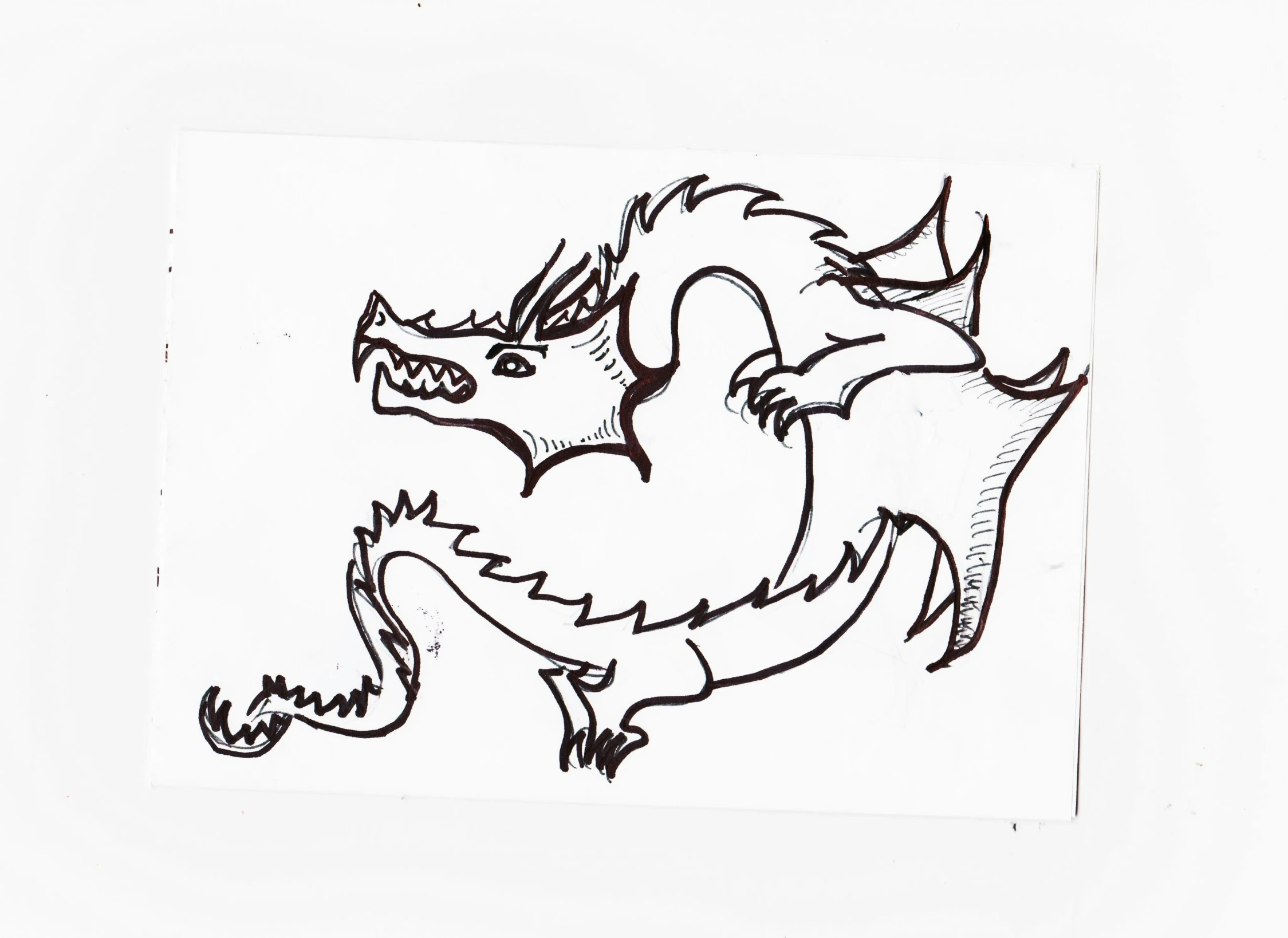 an ink drawing of a dragon