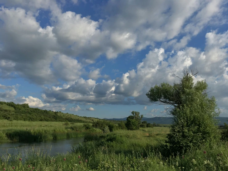 this is a small river that is running alongside a grassy hill