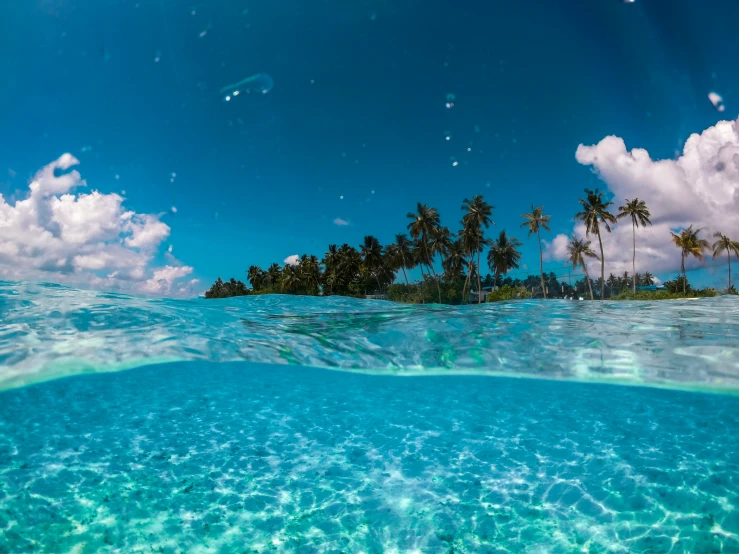 the view from the water shows the water, coconut trees and blue sky