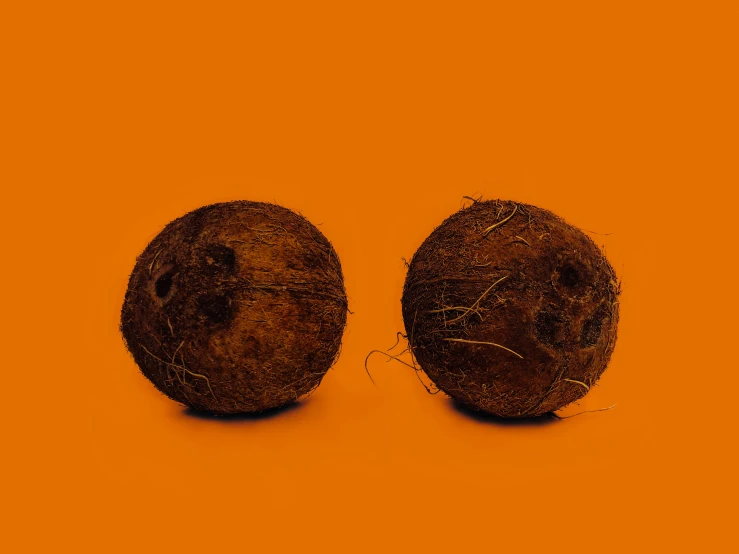 an orange background with two coconuts, one showing  and the other with eyeballs