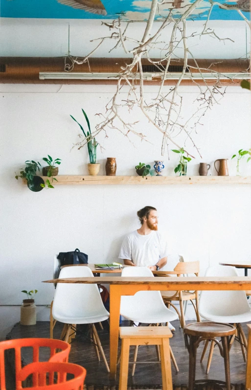 a man sits at a table, with multiple plant life above him