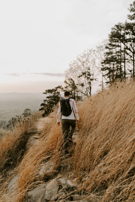 a person walks up a hill with trees