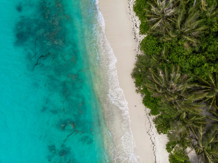 the water at the beach is clean and clear