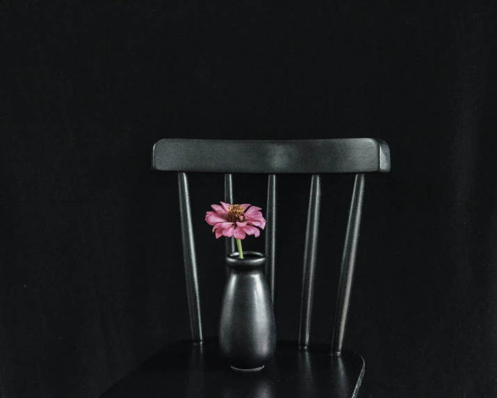 a pink flower sitting in a black vase on a black chair