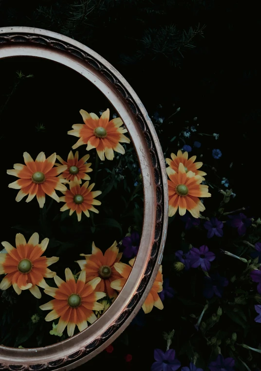 a group of flowers that are in some kind of circular bowl