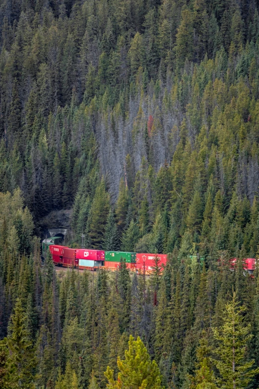 a red train traveling through a forested forest