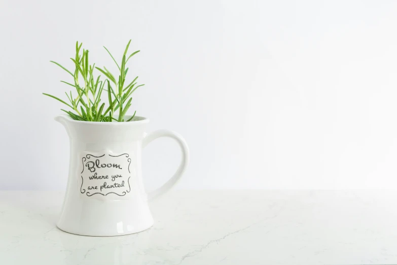 a cup with some green plants in it