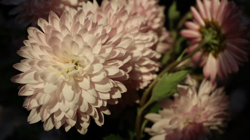 a bouquet of flowers sitting on top of a table