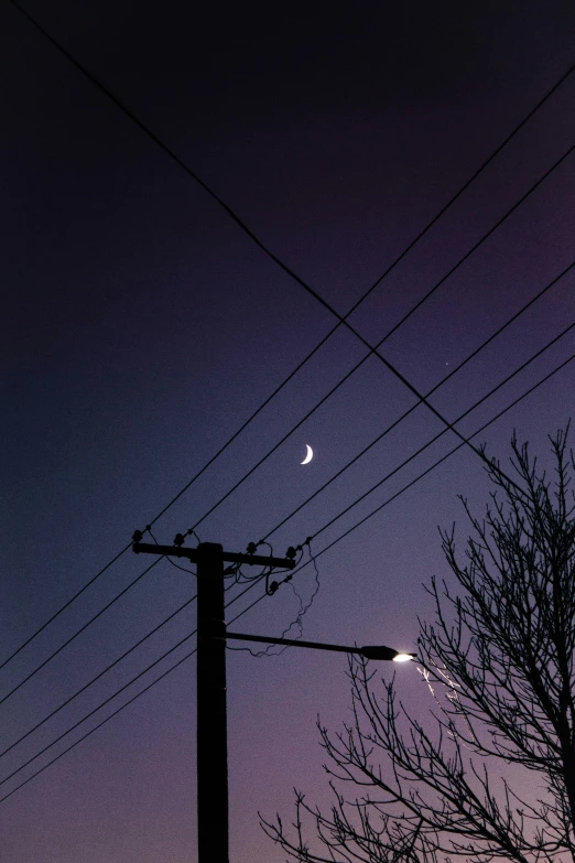 a power pole in the dusk with a lone bird on it