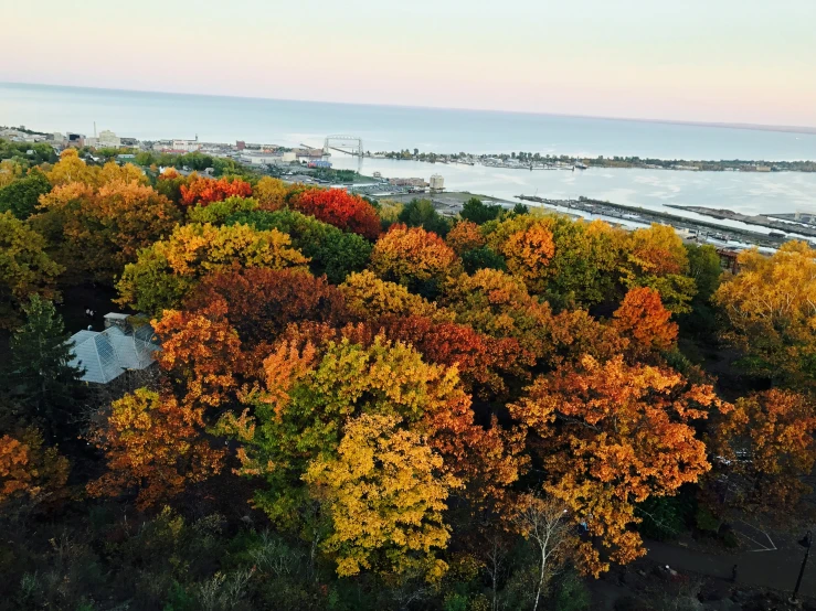 a sea view shows autumn foliage and the coastline