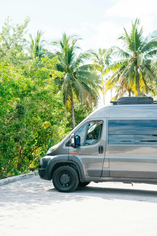 a van with surfboards on its roof in the palm trees