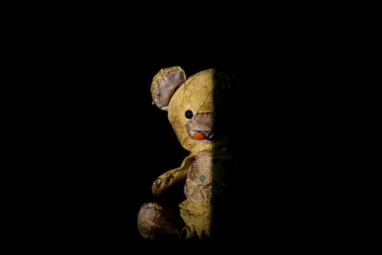 a teddy bear is looking out from the darkness