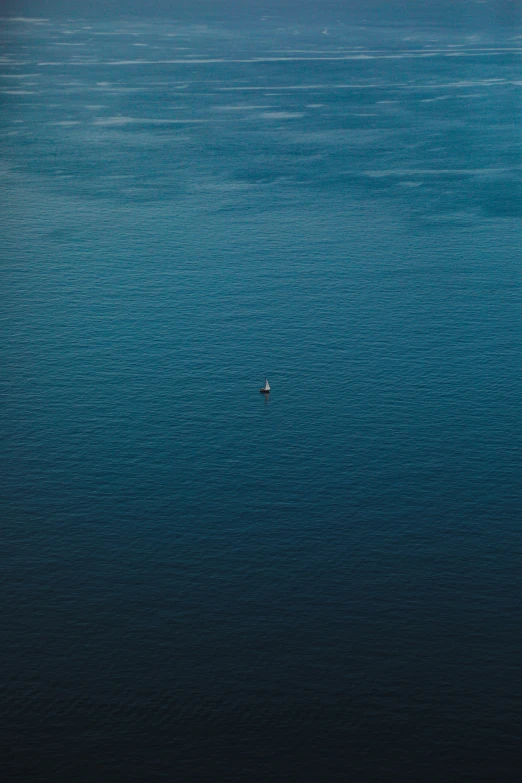 a lone bird flying over the ocean on a sunny day