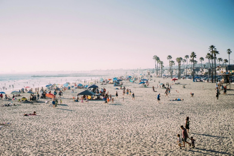 a crowd of people are on a beach