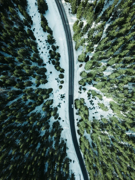 top down view of snowy, wooded road