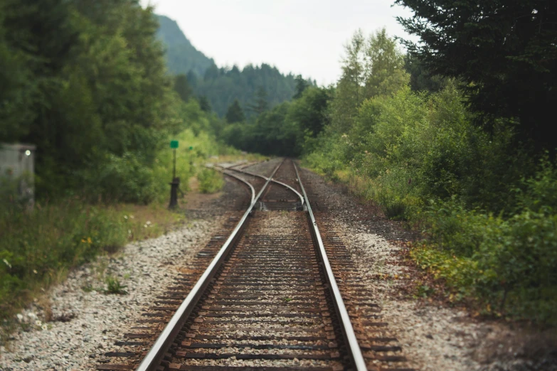 train tracks in the forest next to a small road