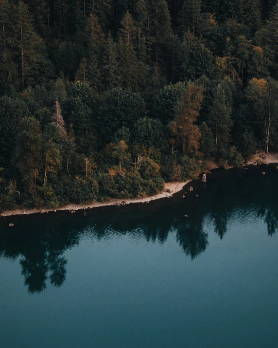 an aerial view of the shore and woods