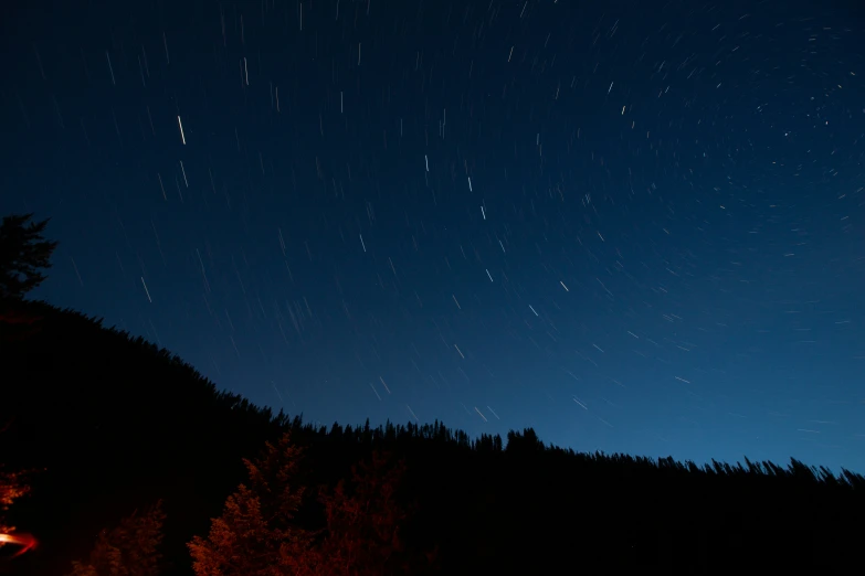 the night sky has stars and lights above trees