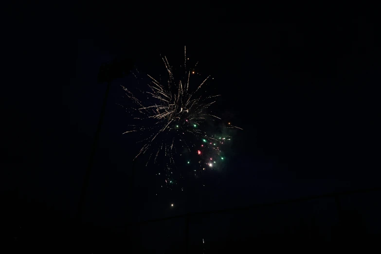 firework exploding in the night sky