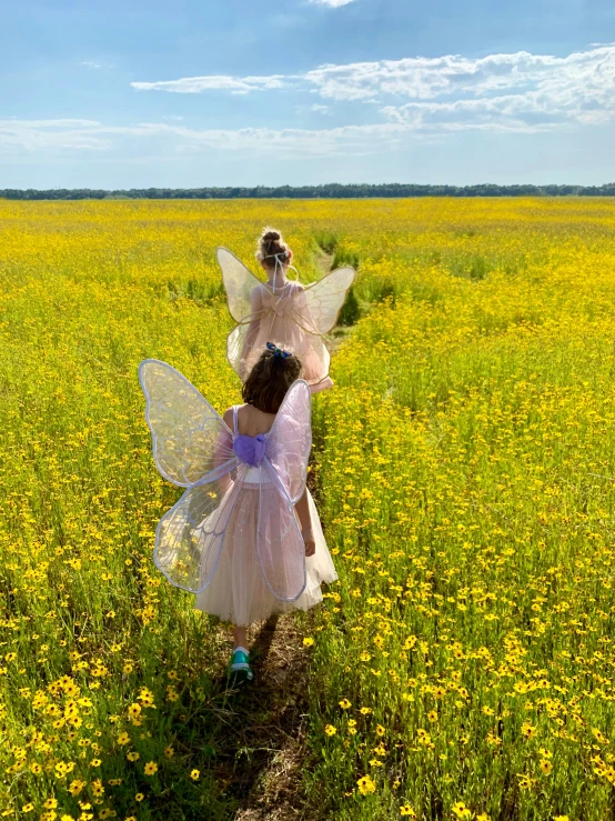 a girl dressed up as tinkerbell walks in a field