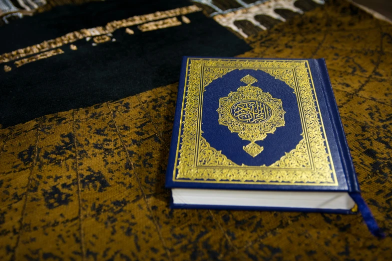 a blue and gold book is open on a rug