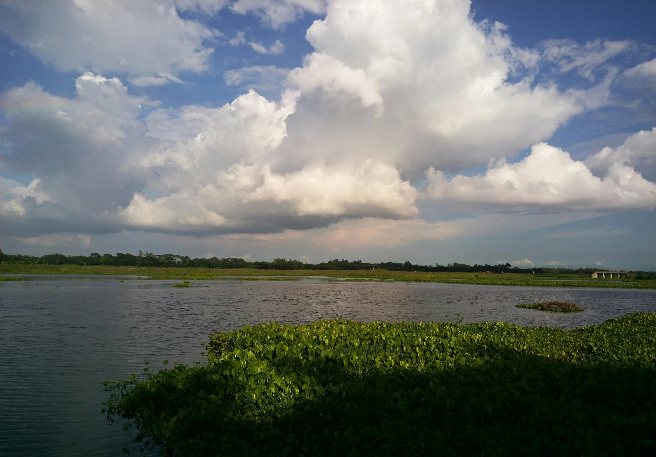 green grass and water under a cloudy blue sky