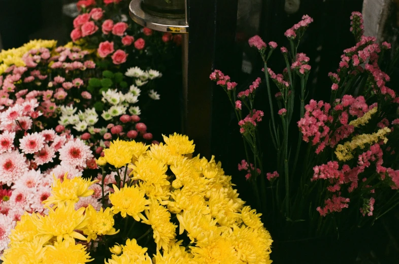 various types of flowers in a large area