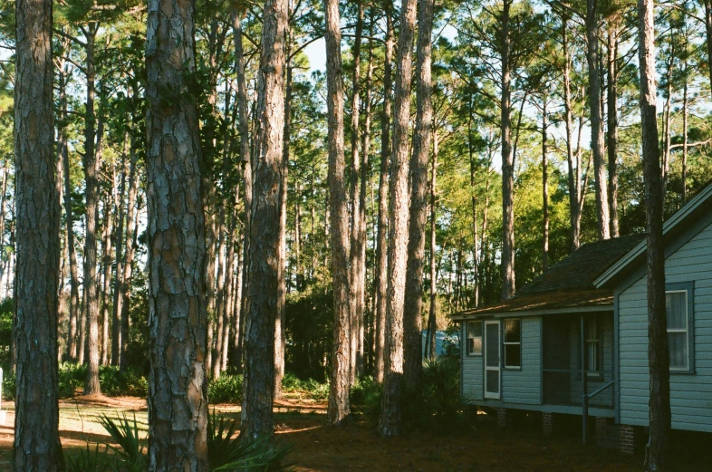 a house is surrounded by many trees in the woods