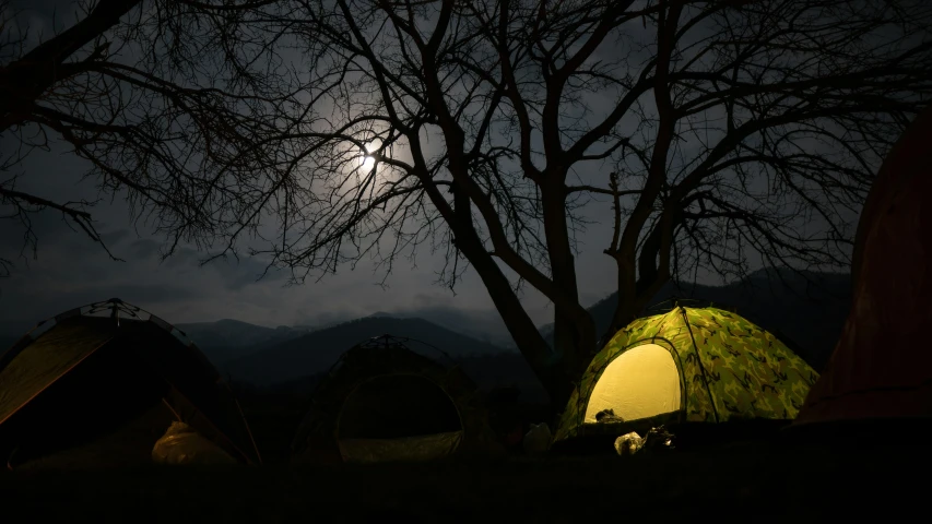 a group of tents and trees with a full moon behind it