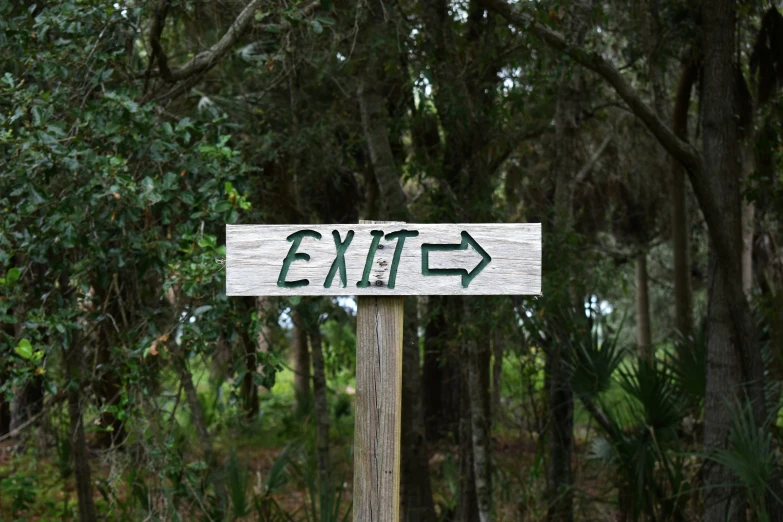 a close up view of a exit sign near trees