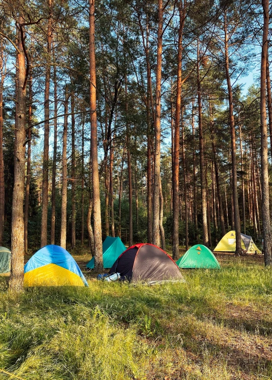 a field with several colored tents in the background