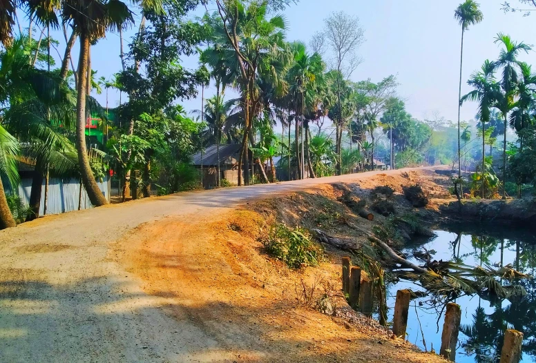 a country road near water with trees and benches