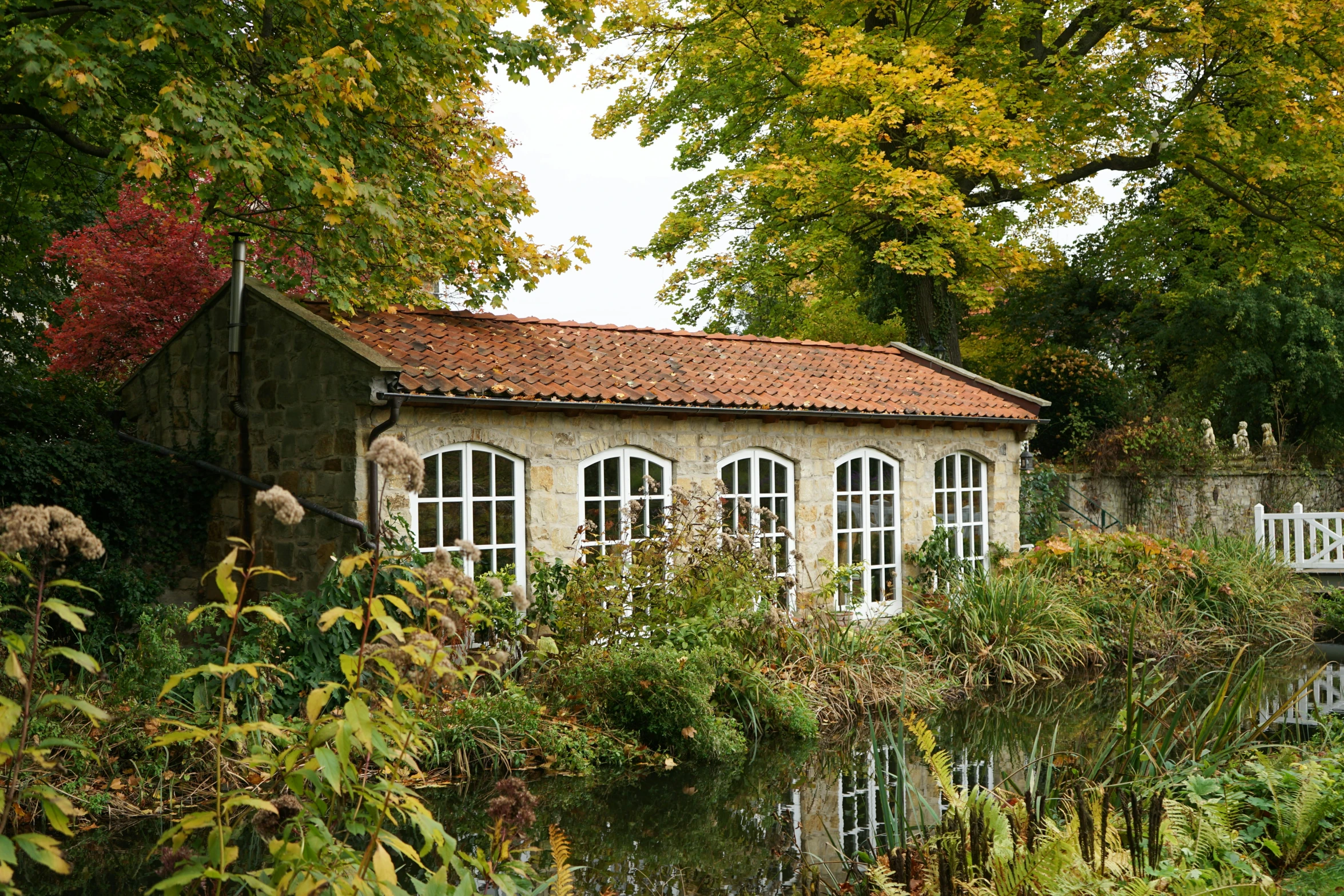 a garden with a pond in the middle