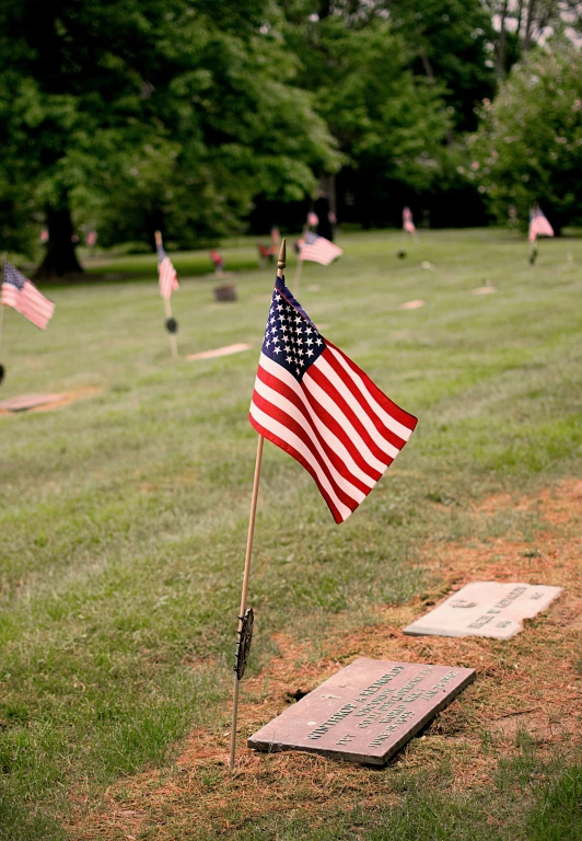 a cemetery with flags and names on it