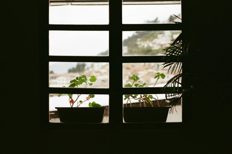 a window that is in a building with plants